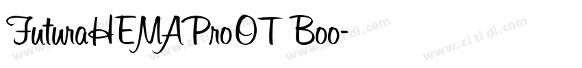 FuturaHEMAProOT Boo字体转换